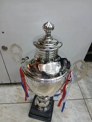 Big Silver Award Trophy