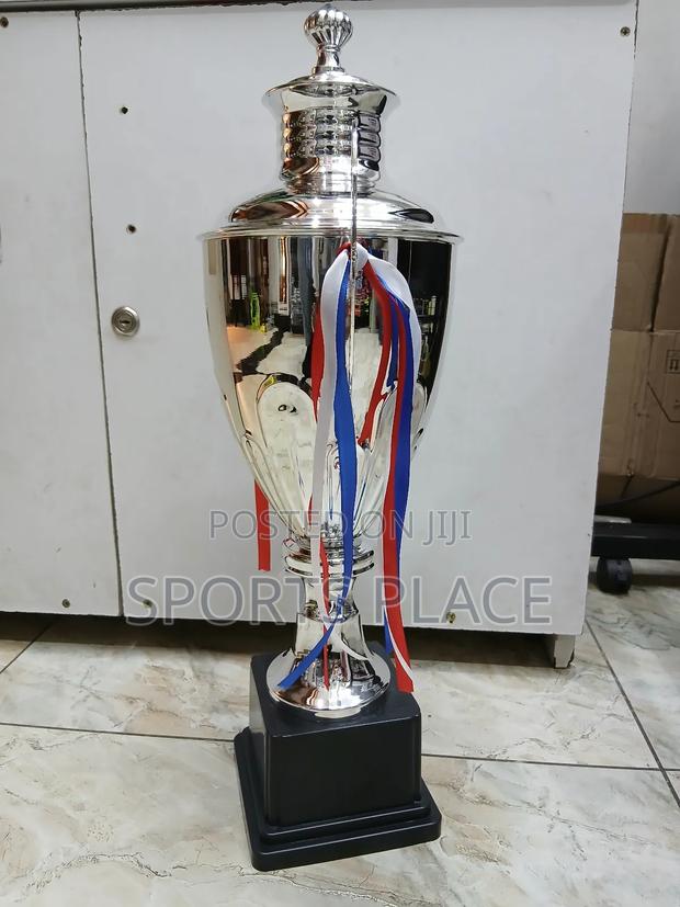 Big Silver Award Trophy - thumbnail 4