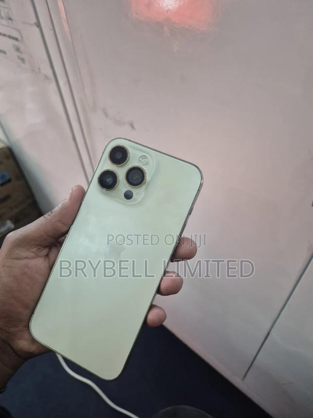 Apple iPhone 14 Pro Max 256 GB Gold - thumbnail 13