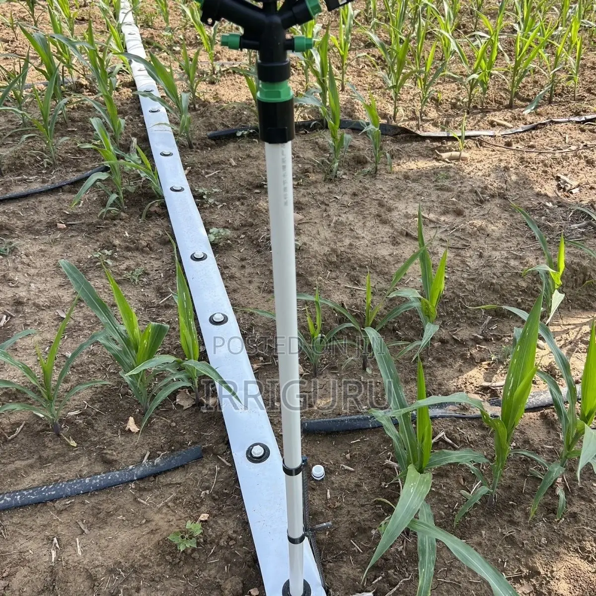 Farm Irrigation Materials, Corn Field Sprinklers.