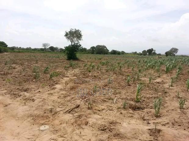 Shamba for Sale - main view