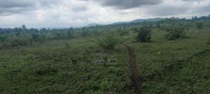 Residential Plot for Sale - thumbnail 2