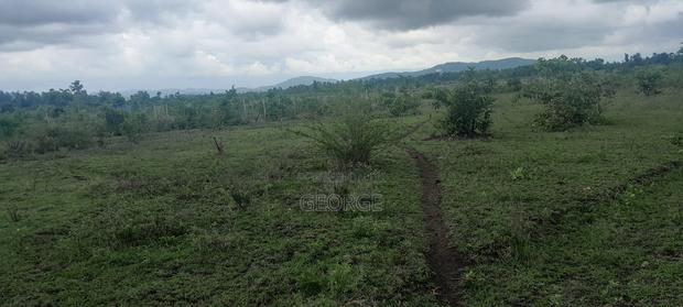 Residential Plot for Sale - main view