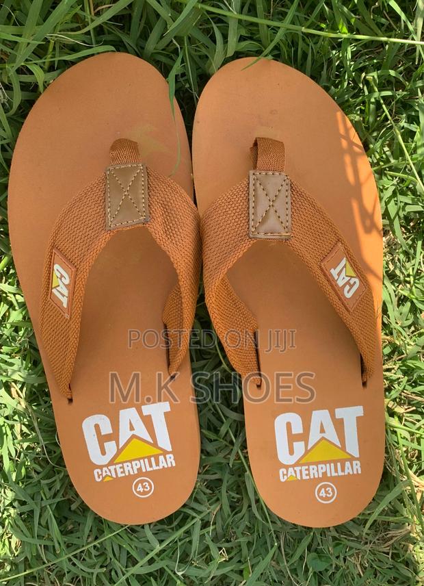 Cats Shoes - main view