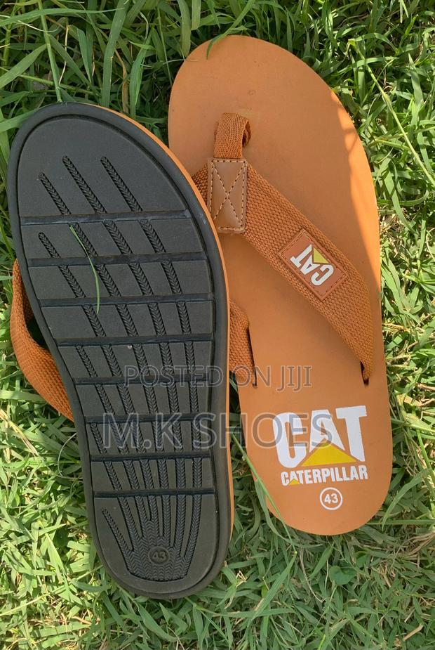 Cats Shoes - thumbnail 3