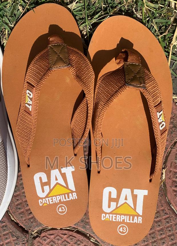 Cats Shoes - thumbnail 2