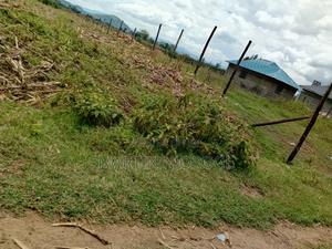 50 by 100 Longonot - thumbnail 2