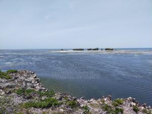 Land in Watamu, Beach Plot - thumbnail 2