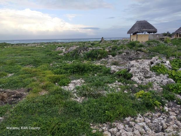 Land in Watamu, Beach Plot - thumbnail 3
