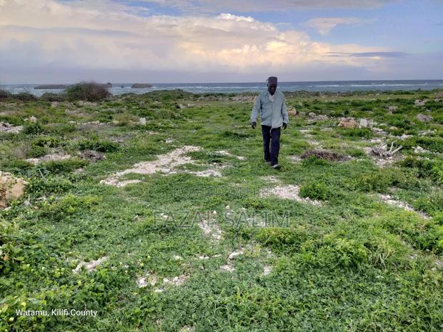 Land in Watamu, Beach Plot - thumbnail 4