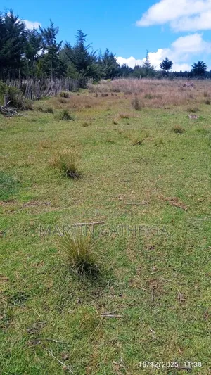 Price Drop Ten Acres