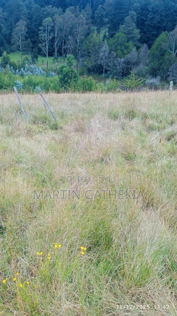 Price Drop Ten Acres - thumbnail 3