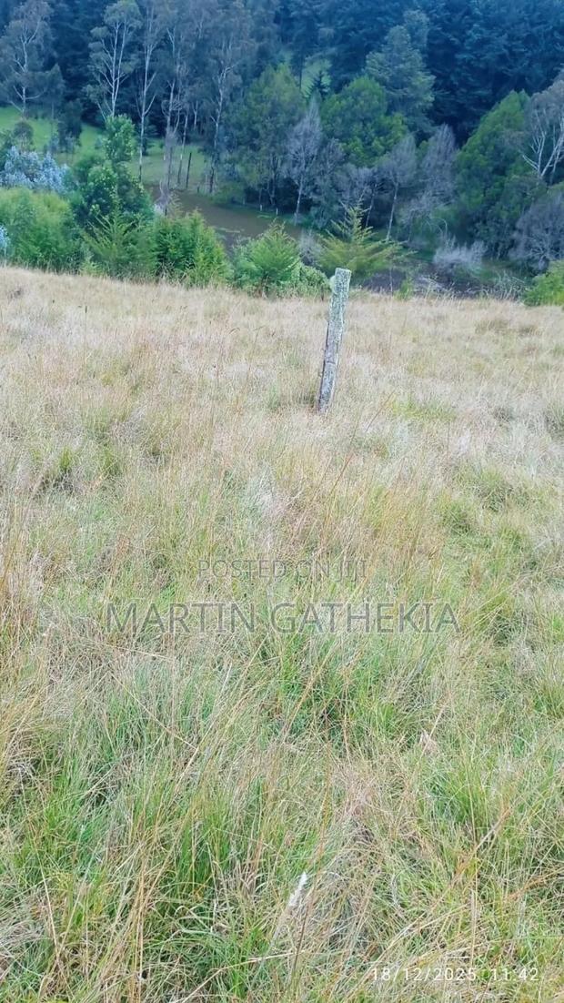 Price Drop Ten Acres - thumbnail 4