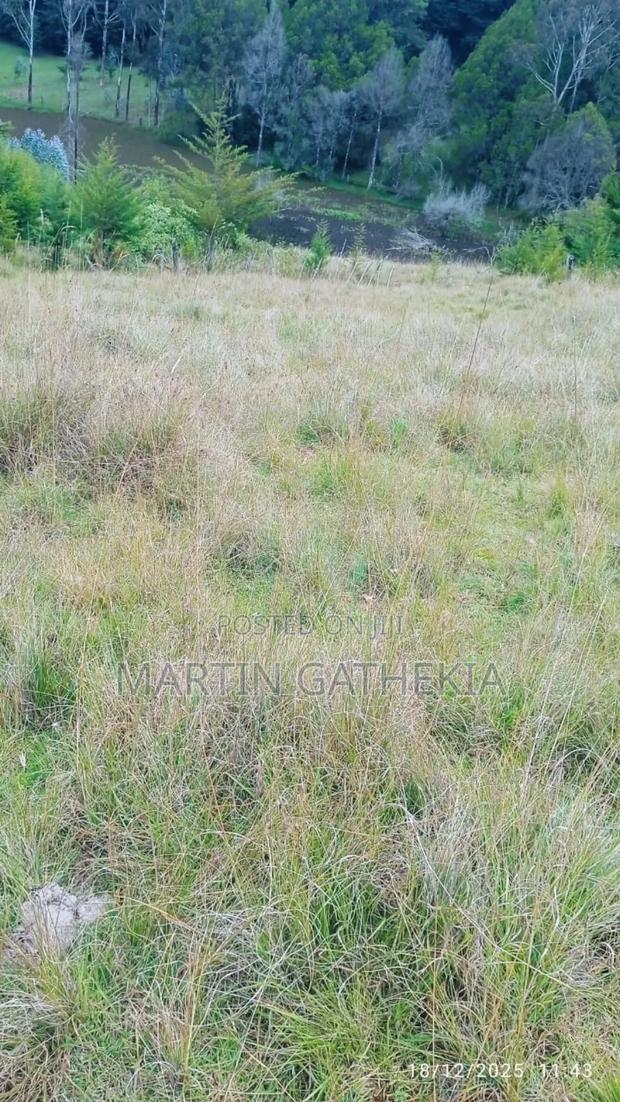 Price Drop Ten Acres - thumbnail 5