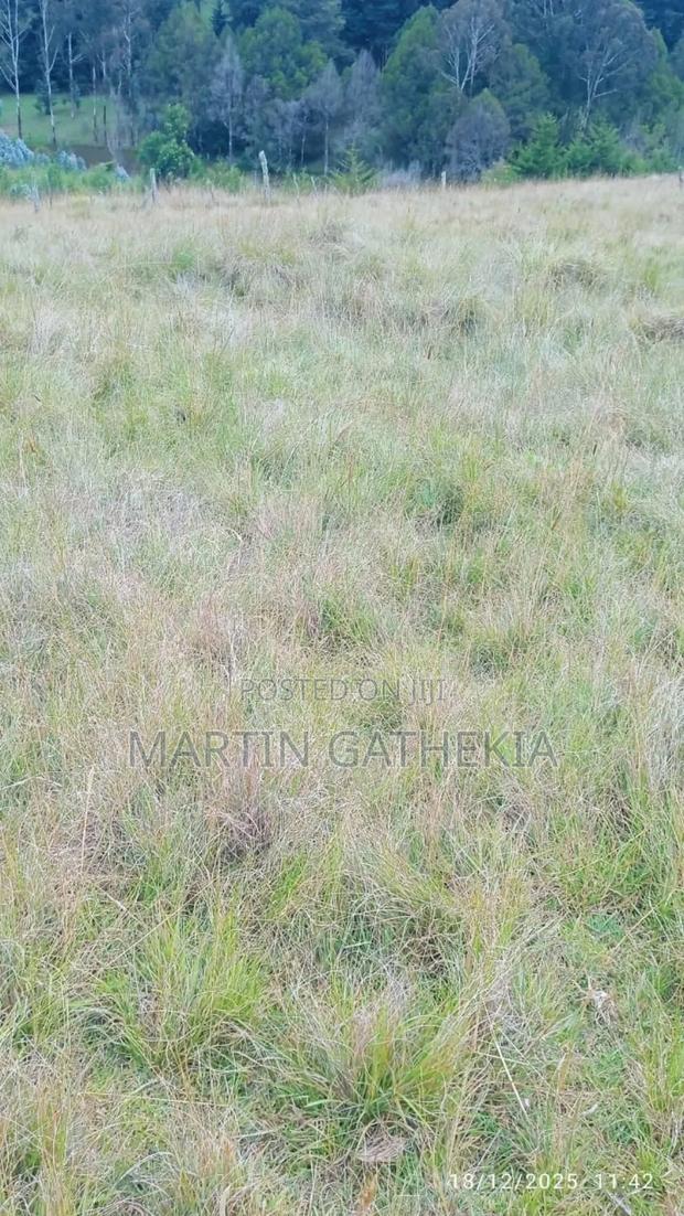 Price Drop Ten Acres - thumbnail 6