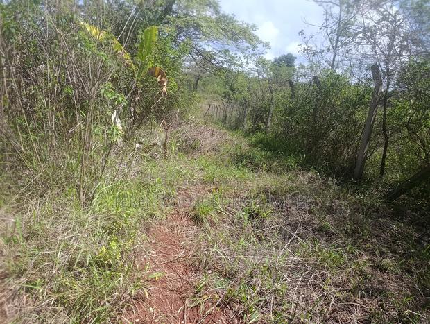 Property For Sale - thumbnail 4