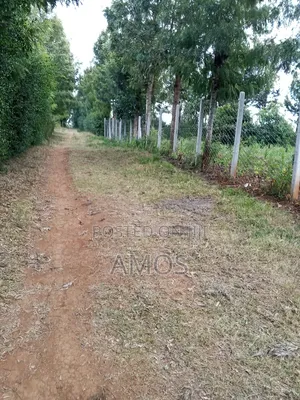 2 1⁄4 Ac Land Sale Ndeiya Loyal Ideal for Plots