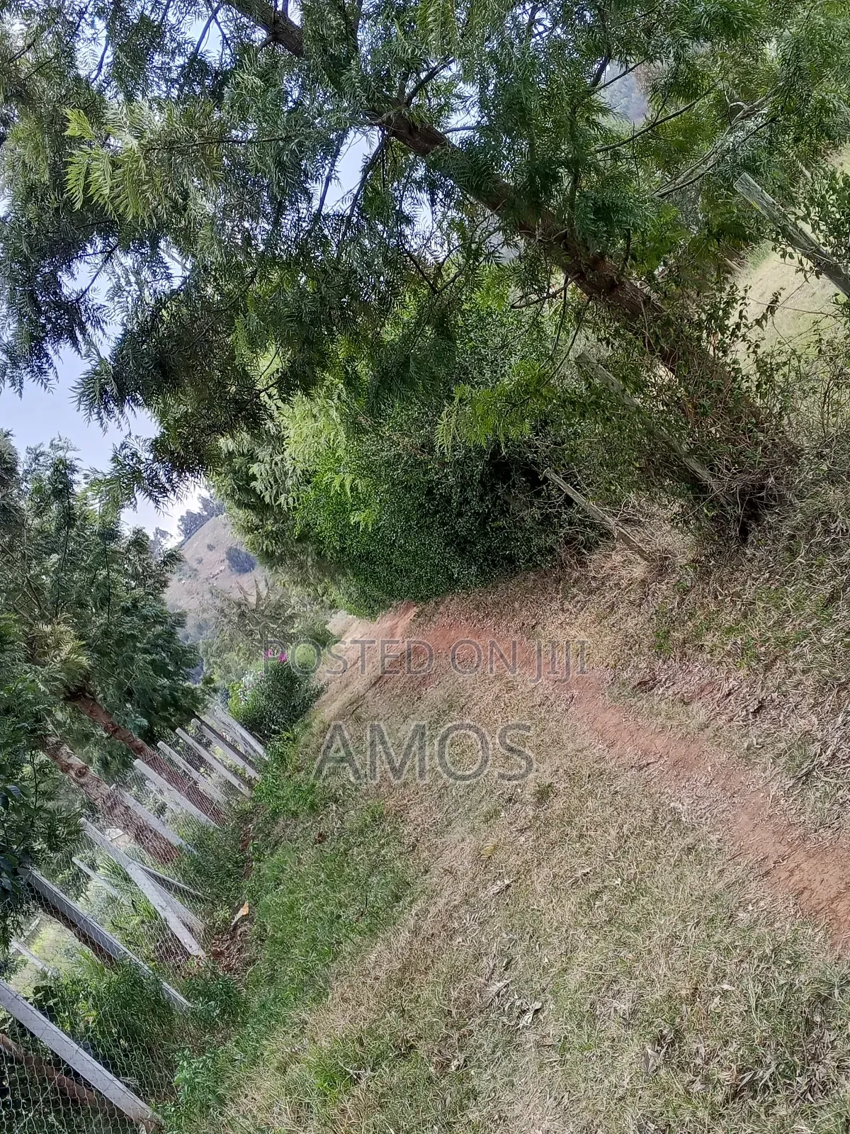 1⁄8 Acre Plot in Ndeiya Loyal Nderu.