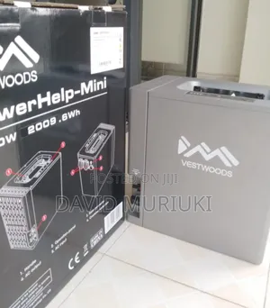 Vestwoods Lithium Battery by Haier Reliable,Durable Smart Power