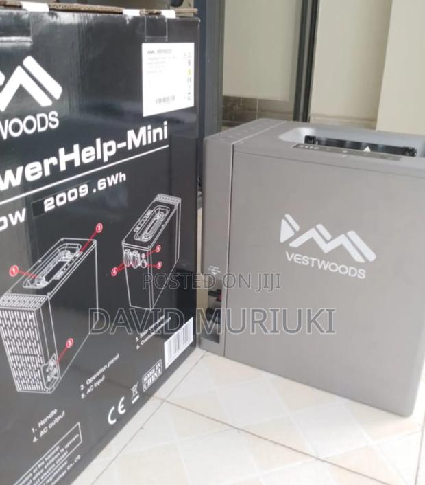 Vestwoods Lithium Battery by Haier Reliable,Durable Smart Power - thumbnail 2