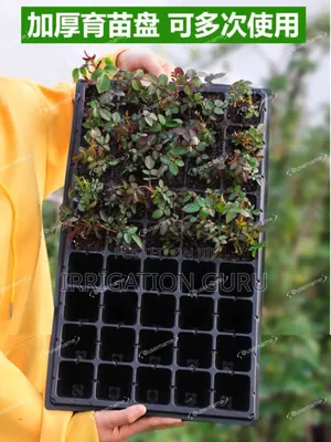 Black Blue Seedling Trays - Durable Sturdy, Boosting Strong