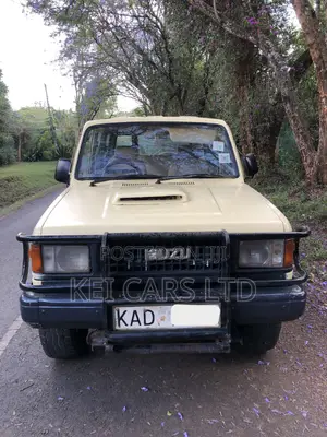 Isuzu Trooper 1994 Beige
