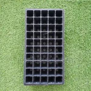 The Art of Cultivation Against a Natural Backdrop - Colorful Trays Bri