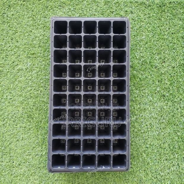 The Art of Cultivation Against a Natural Backdrop - Colorful Trays Bri