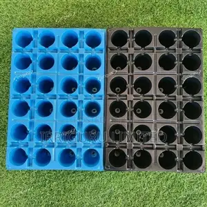 31-200number of Planting Plugs. . .