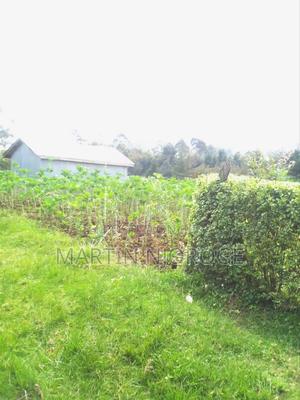 1⁄2 Acre Escarpment - thumbnail 2