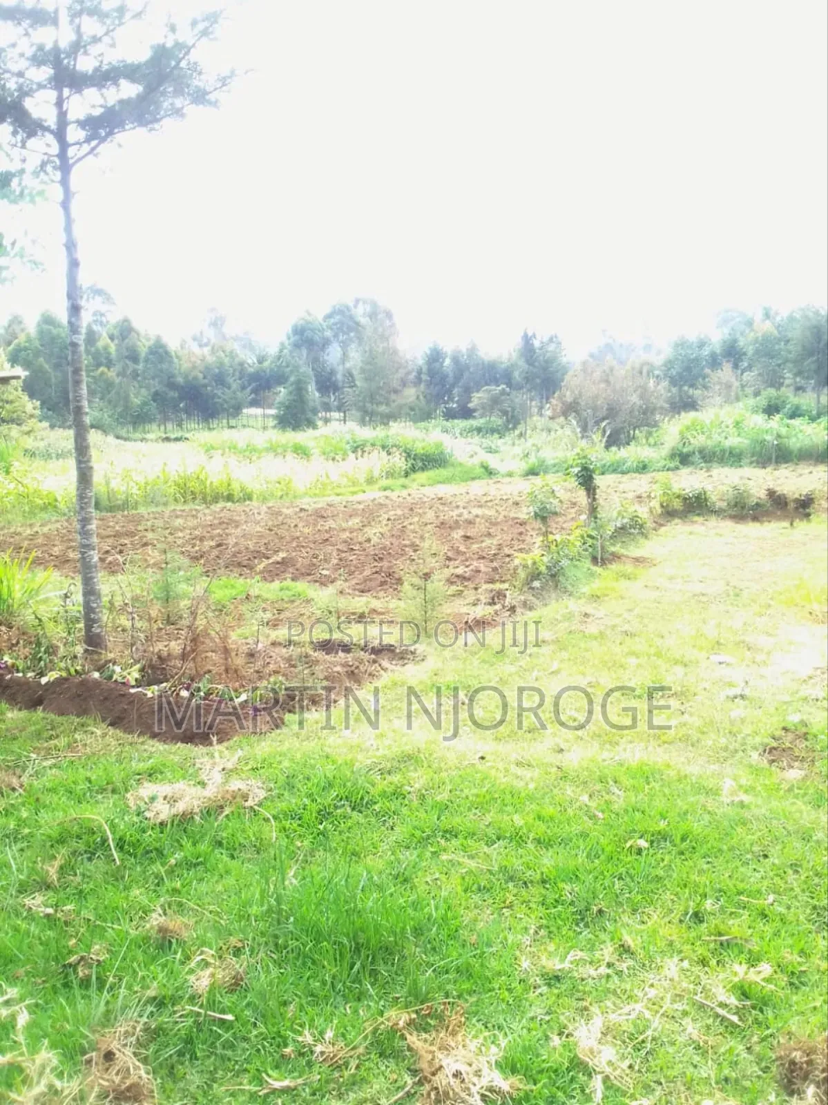 1⁄2 Acre Escarpment
