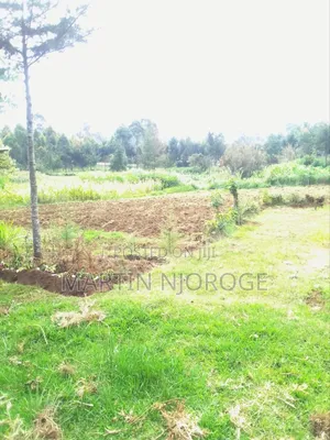 1⁄2 Acre Escarpment