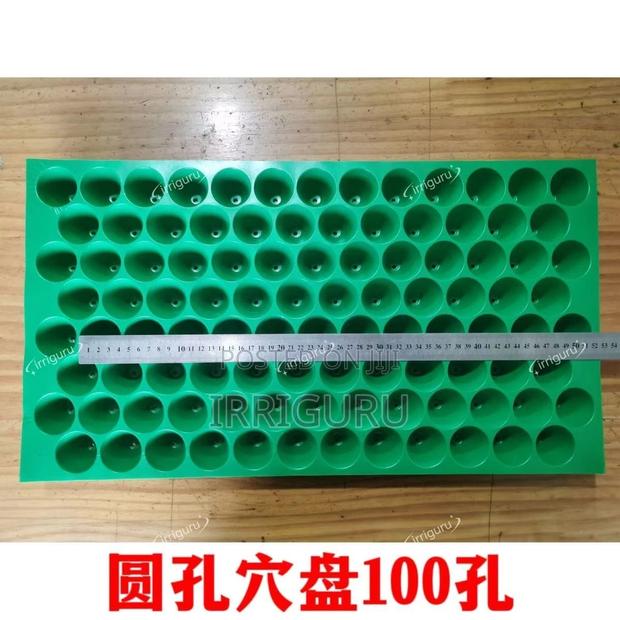 Square Cells, Healthy Roots - main view