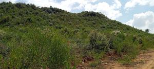Land for Sale - thumbnail 2