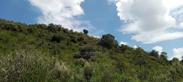 Land for Sale - thumbnail 4