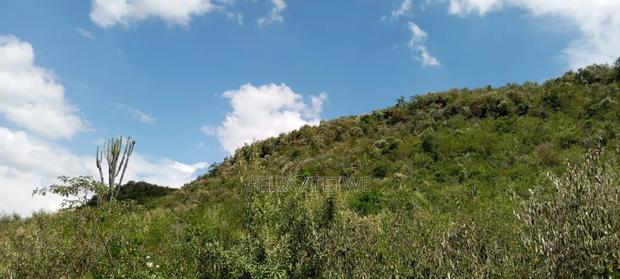 Land for Sale - thumbnail 5