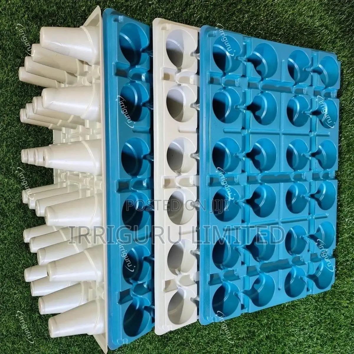 Color-coded, Organized Growingseedling Tray