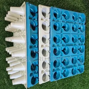 Color-coded, Organized Growingseedling Tray