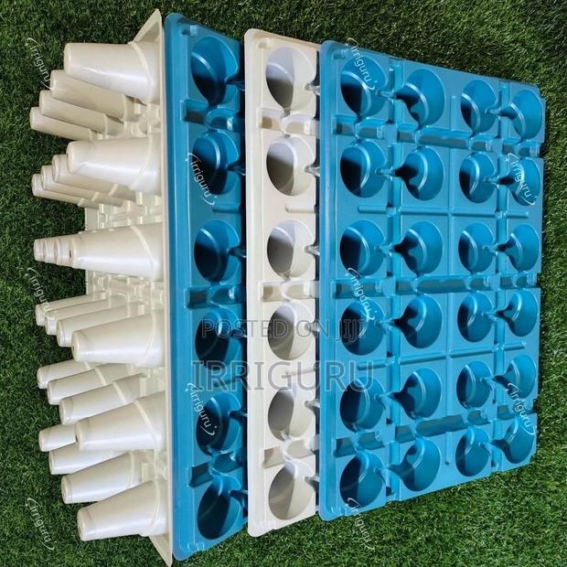 Color-coded, Organized Growingseedling Tray - main view