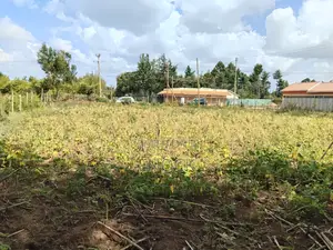 Prime 1⁄4acre Plot Touching Tarmac in Royaltone Annex
