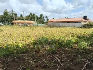 Prime 1⁄4acre Plot Touching Tarmac in Royaltone Annex