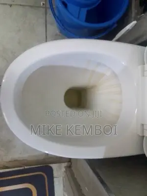 Toilet Whitening and Cleaning Services