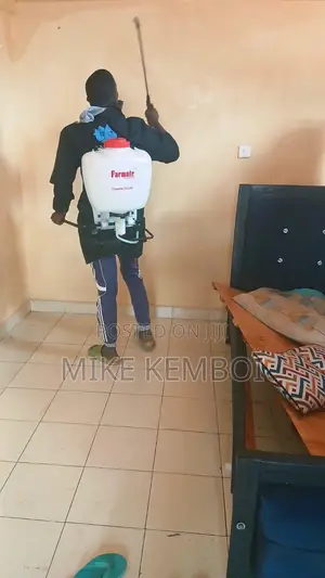 Fumigation of Bedbags and Cockroaches