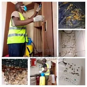 Efficient Fumigation of Cockroaches and Bedbugs