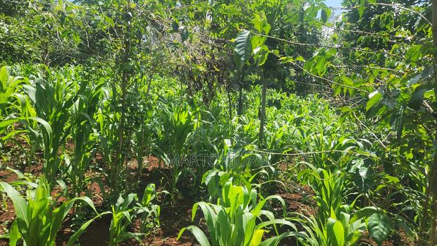 2 Acre in Mang'u Gatudu South