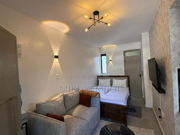 Perfect Moment Studios and 1bedrooms BNBS - thumbnail 6