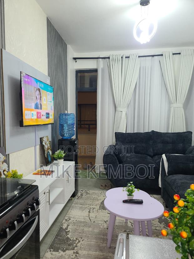 Wild and Free Studios and 1bedrooms BNBS