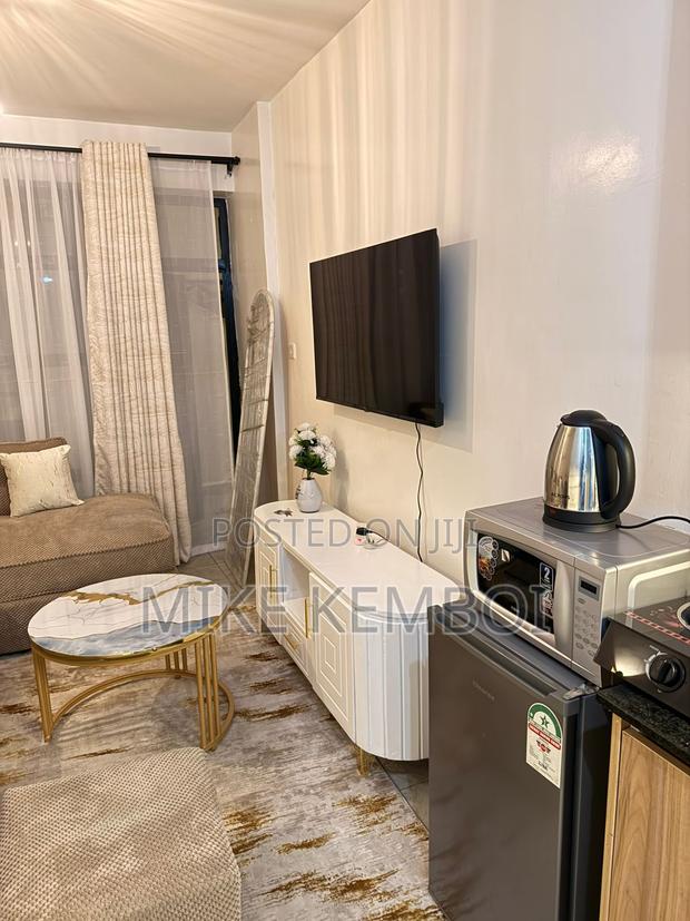 Mist Studios and 1 Bedrooms - thumbnail 4