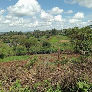 Plot for Sale - thumbnail 2