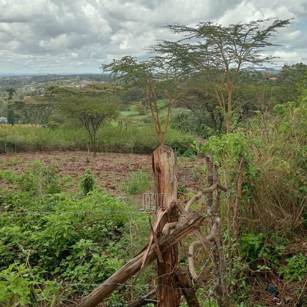 Plot for Sale - thumbnail 4